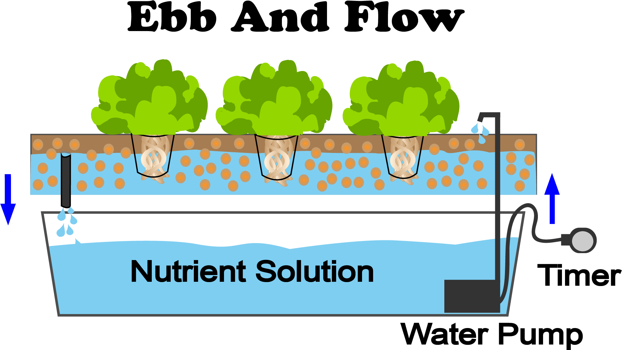 Ebb And Flow Hydroponic System (2041x1178), Png Download