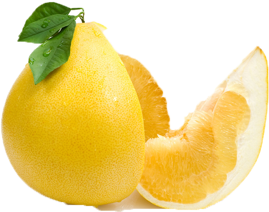 Common Citrus Fruit Png Free Commercial Use Images - Yellow Citrus Fruit (760x561), Png Download