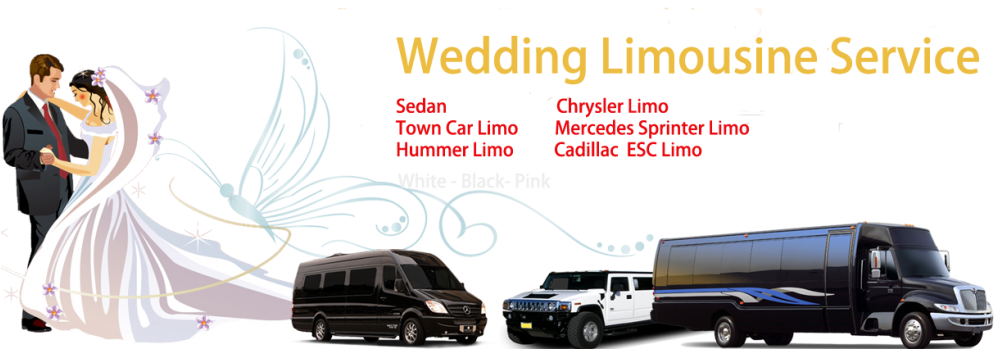Stop - Limo Bus (1024x373), Png Download