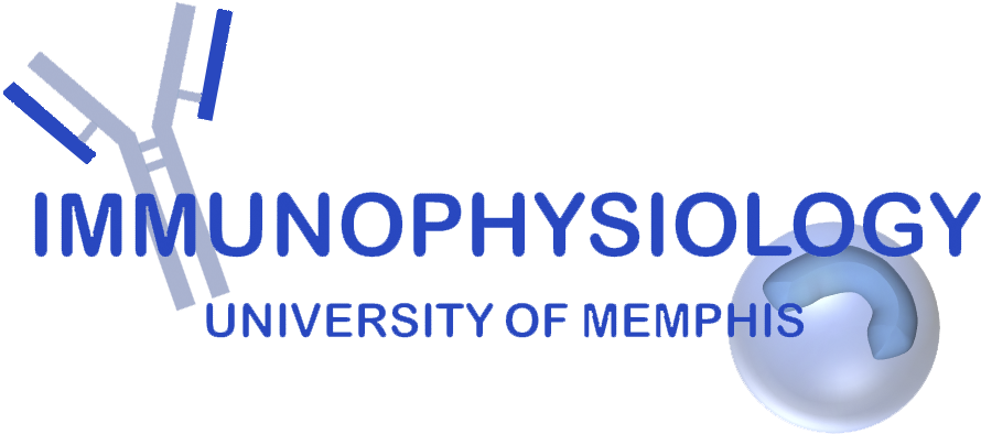 Research In Immunophysiology - Sir Isaac Newton (1042x545), Png Download