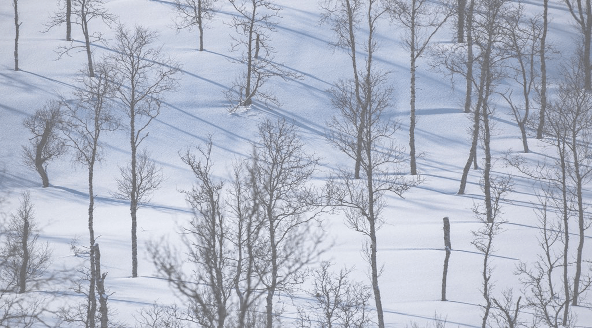 Welcome To Rok Stoves - Multi-fuel Stove (1920x1065), Png Download