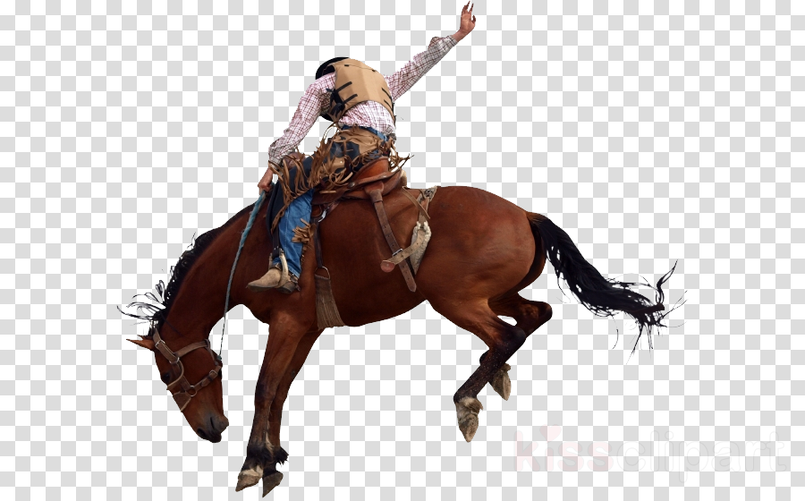 Download Rodeo Bucking Bronco Clipart Horse Bronco - Rodeo Horse (900x560), Png Download