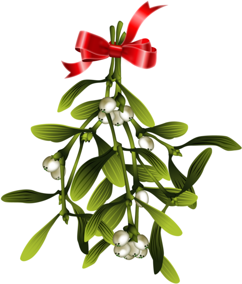 Mistletoe Christmas Wish (700x700), Png Download