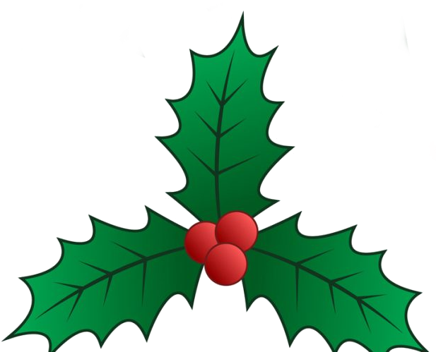 Mistletoe - Clip Art (624x498), Png Download