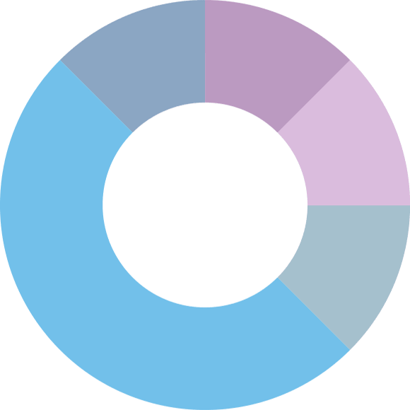 360 Chicago Segmented Wheel - Chicago (580x580), Png Download