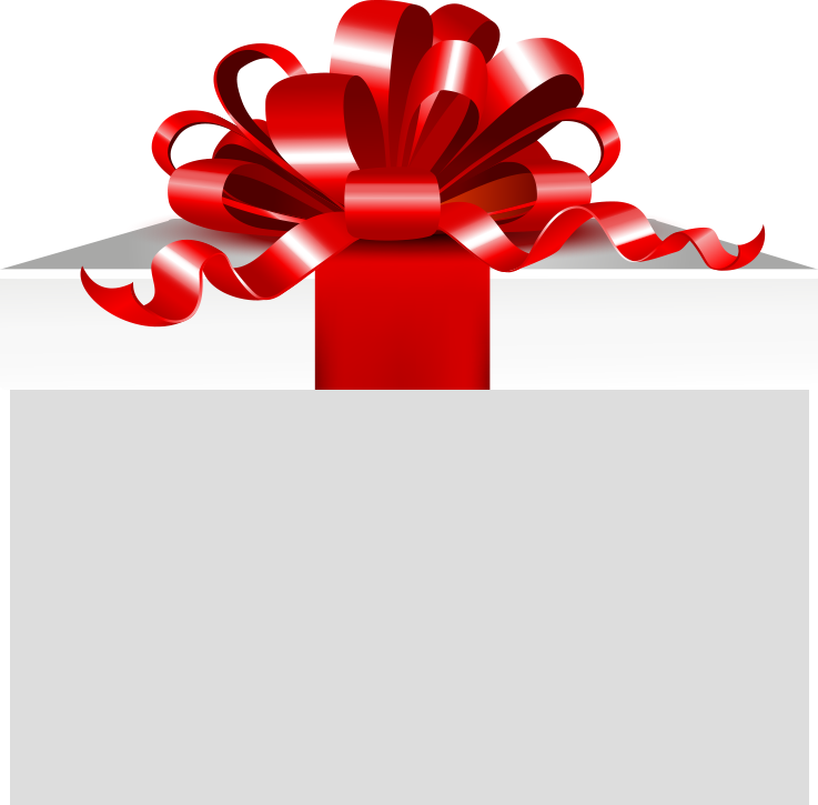 Christmas Offer Png Daytona Christmas Offer - Gift (737x725), Png Download