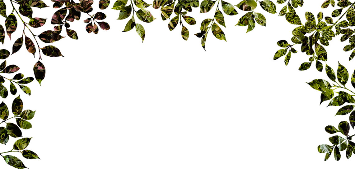 Sustaining Beauty - Davines (1140x555), Png Download