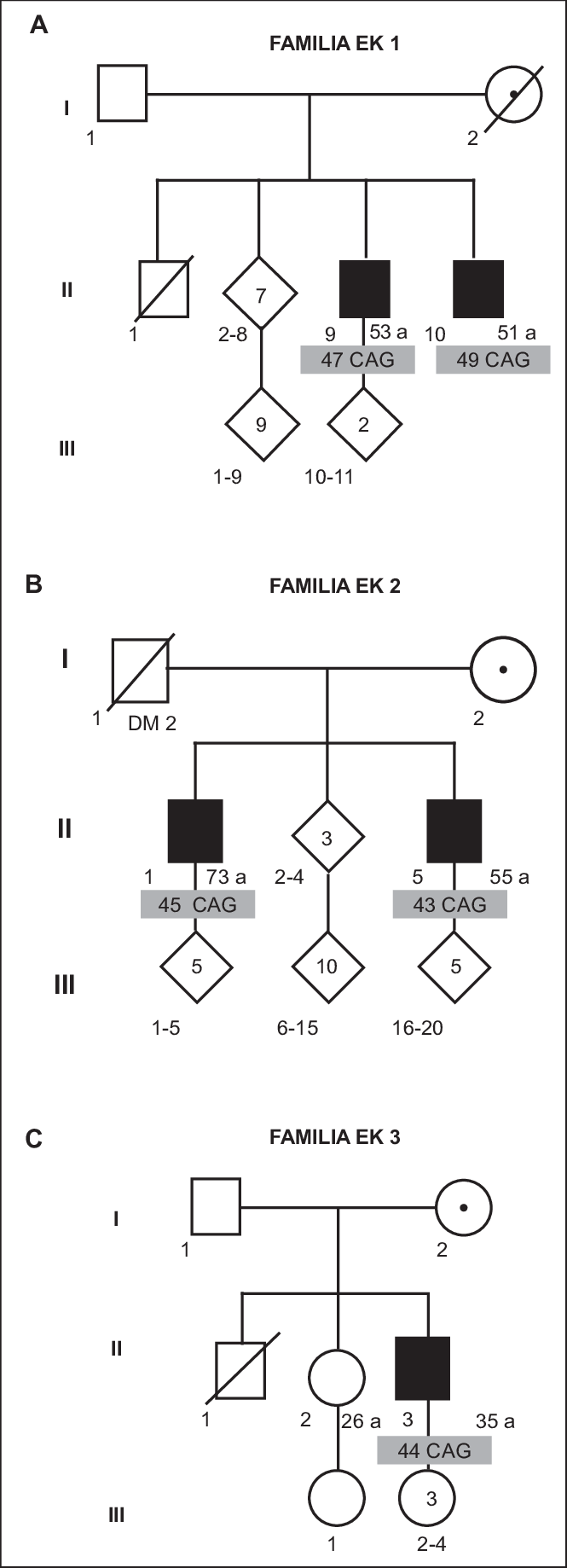 Heredogramas De Tres Familias Que Muestran Cinco Individuos - 3 Familias (665x1838), Png Download