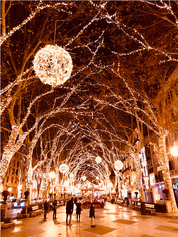 How To Shoot Outdoor Christmas Light Backgrounds - Christmas Lights (1200x800), Png Download