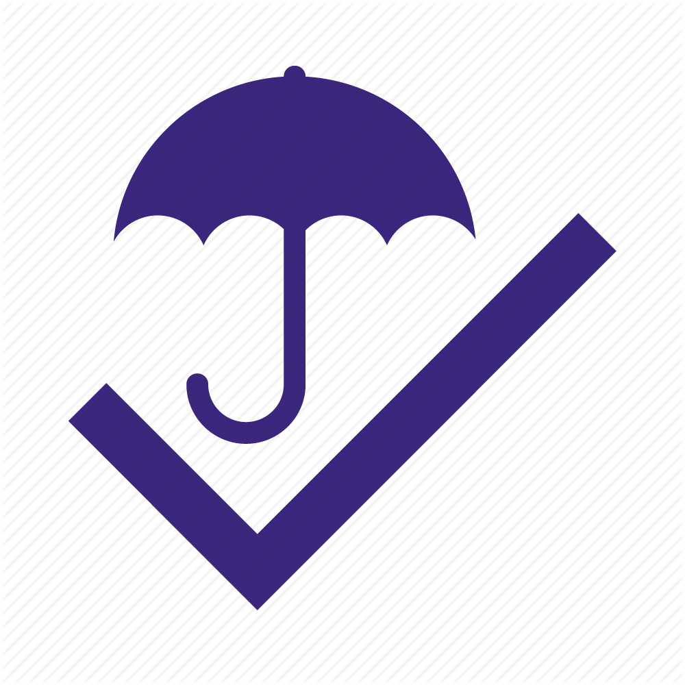 Insurance Icon - Icon (1000x1000), Png Download