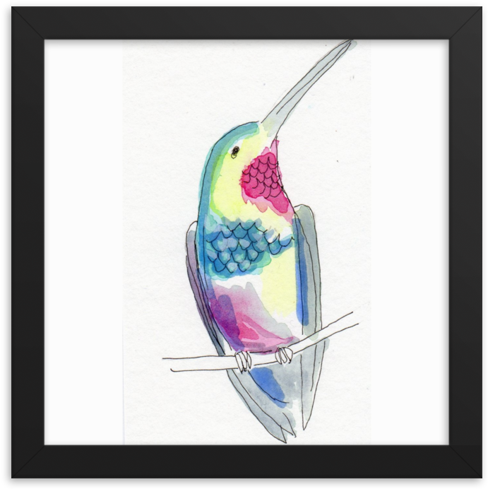 Hummingbird C Jbethmann 2018 Mockup Transparent Transparent (1000x1000), Png Download