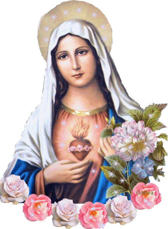However, Her Praise To The Virgin Mary Was Perhaps - Dia Del Sagrado Corazon De Maria (574x782), Png Download