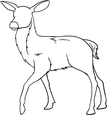 How To Draw A In Few Easy - Draw Deer (678x600), Png Download