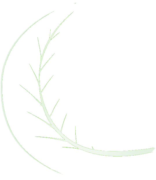 Moon (700x676), Png Download