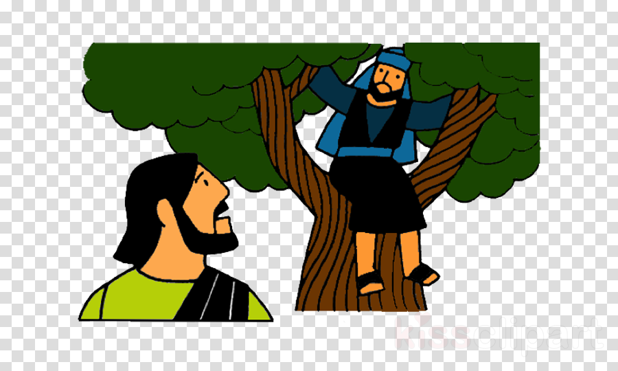 Zacchaeus Meets Jesus Clipart Bible Clip Art - Bible (900x540), Png Download