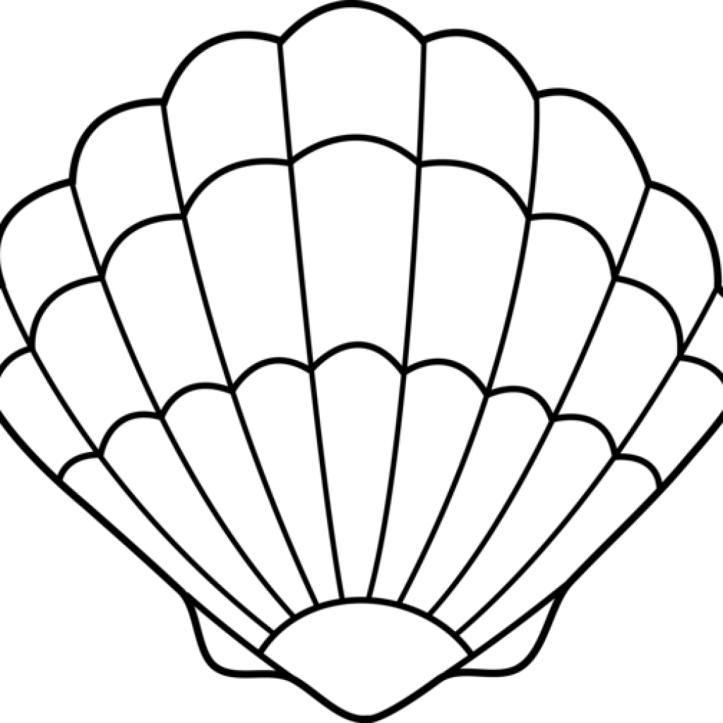 Jpg Download Seashell Thanksgiving Hatenylo Com Lineart - Cartoon Sea Shell (1024x1024), Png Download