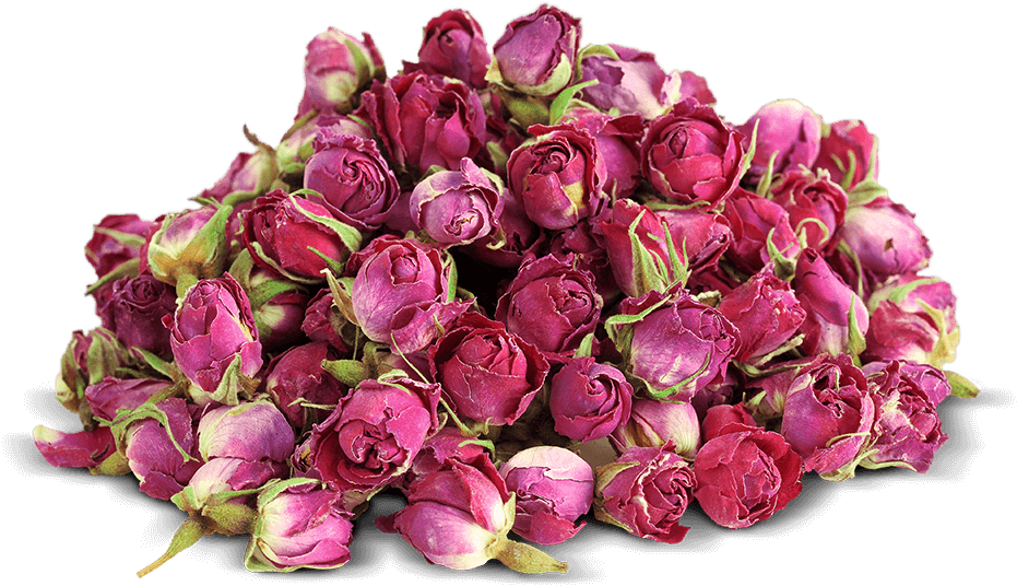 Bouton De Rose Séchée (1000x665), Png Download