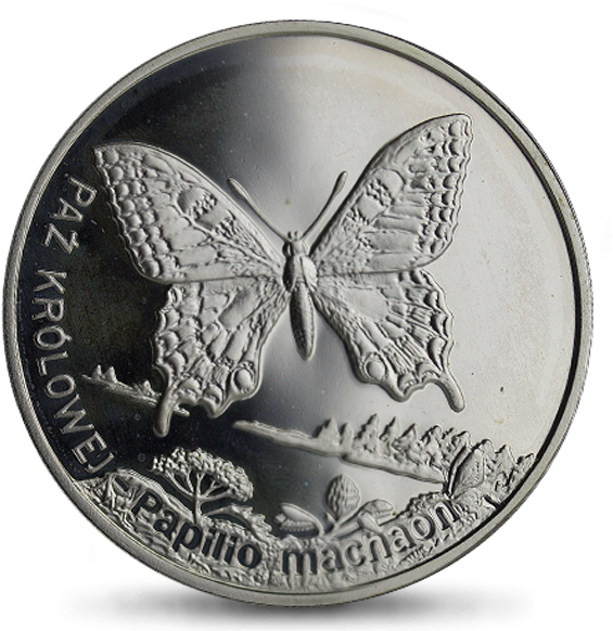 20 Złotych - 20 Złotych Note (800x800), Png Download