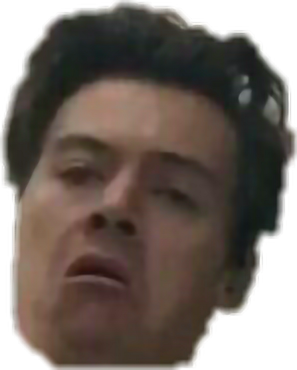 Report Abuse - Funny Face Harry Styles Png (588x732), Png Download