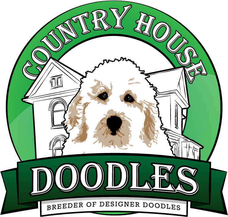 Country House Doodles - Stickertalk B-80-591 10in X 3in Fancy We Welcome Walk (800x749), Png Download