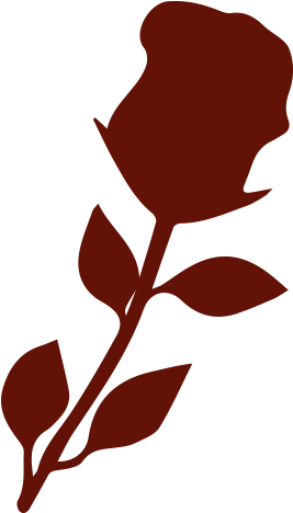 Illustration (800x800), Png Download