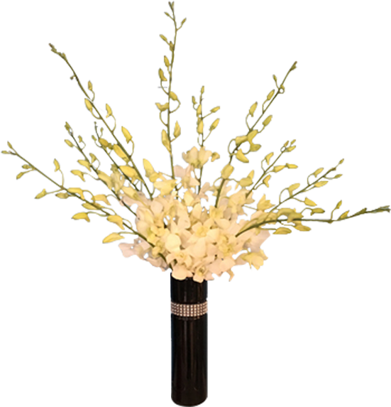 Dazzling Orchids - Orchids (600x600), Png Download