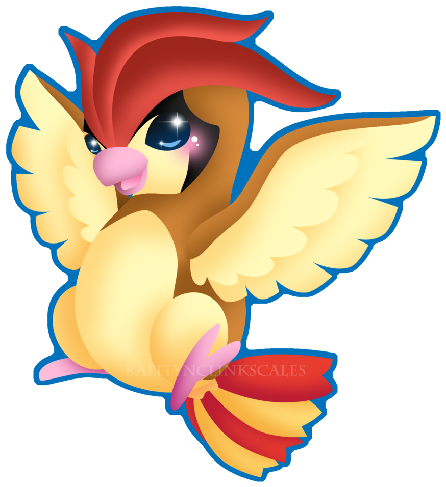 017 Pidgeotto - Baby Pidgeotto (1000x1000), Png Download