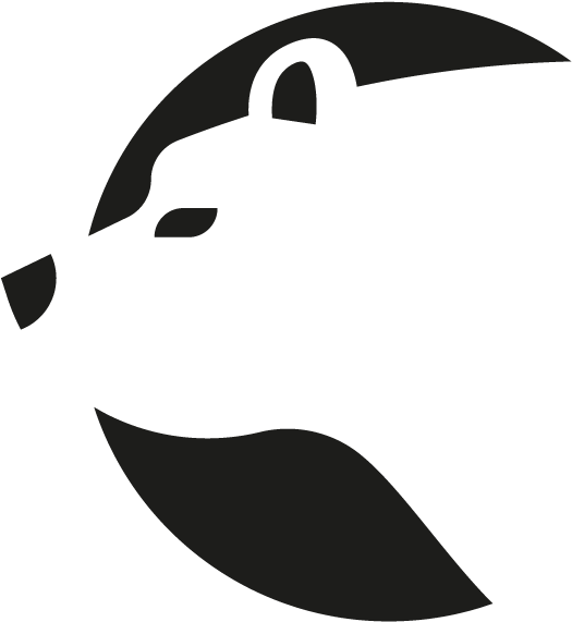 Bear Cleaning Services - United States Of America (612x602), Png Download