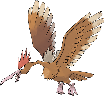 Official Ken Sugimori Art Of Fearow - Pokemon Spearow (431x431), Png Download