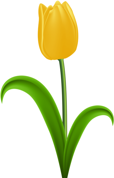 Yellow Tulip Transparent Png Clip Art - Yellow Tulip Clipart (394x600), Png Download