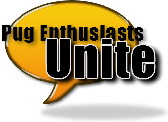 Pug Face Pug Forum - Graphic Design (435x280), Png Download