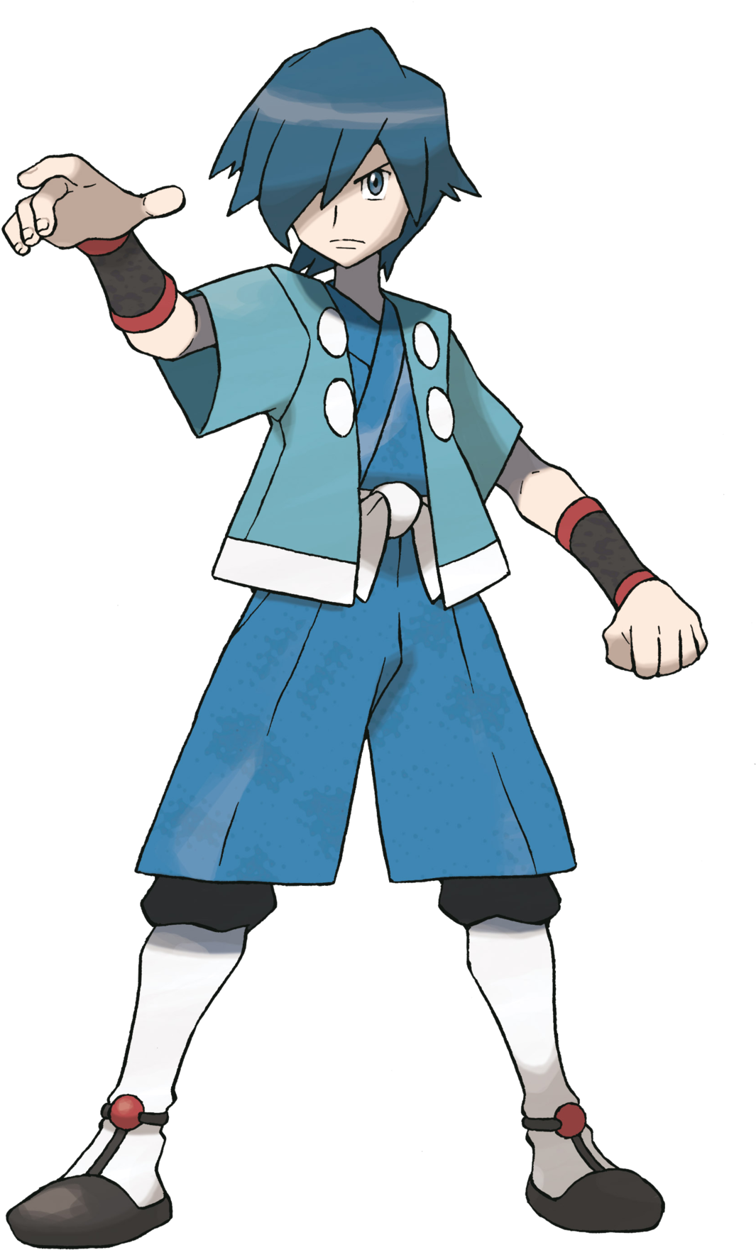Falkner Pokemon (1200x1884), Png Download