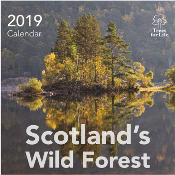 Trees For Life - Poster (480x360), Png Download