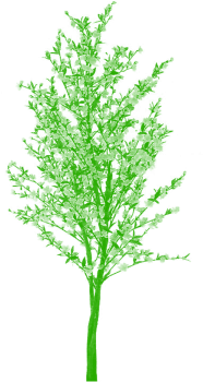 Free Tree Png Clipart Vector Cartoon, Tree Png Plan, - Tree (360x360), Png Download