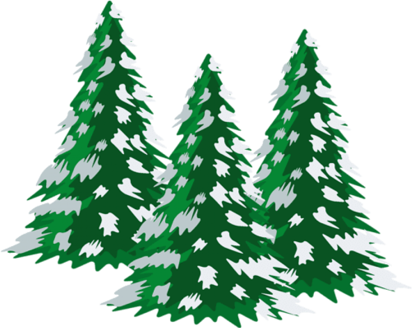 Bright Wallpapers - Snowy Trees Clipart Png (518x411), Png Download