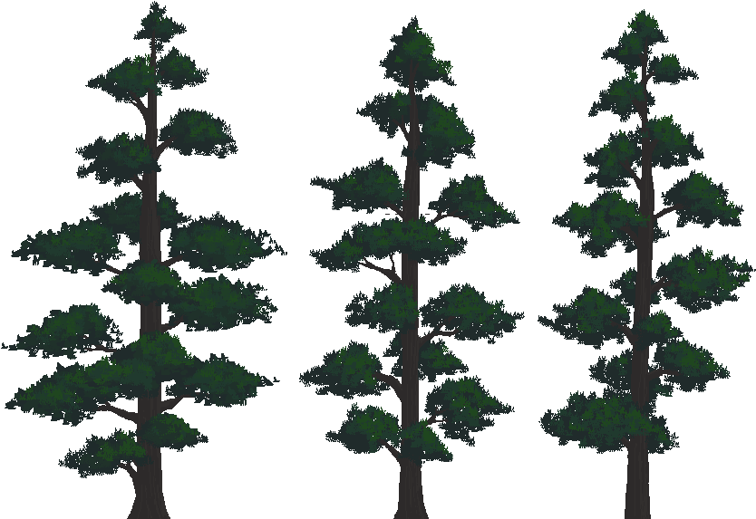 Trees - Opengameart.org (863x640), Png Download