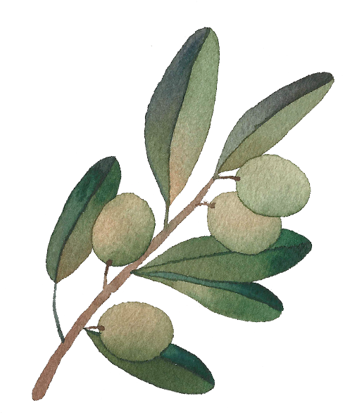 Retreat - Olive (709x709), Png Download