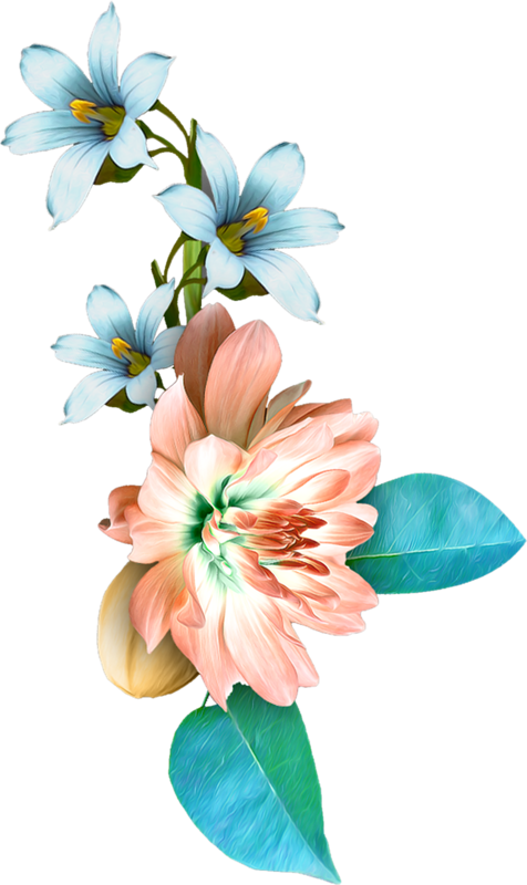 Lynnise Timeforme El55 - Imagens De Orquideas Png (476x800), Png Download