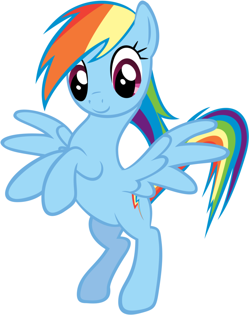 Fanmade Rainbow Dash Standing Vector - Mlp Rainbow Dash Poses (900x1136), Png Download