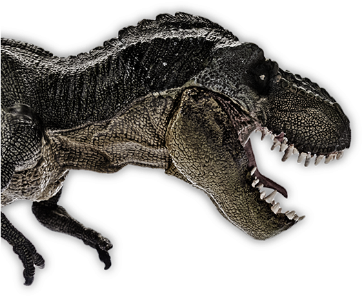 All Hail The King - Velociraptor (560x460), Png Download