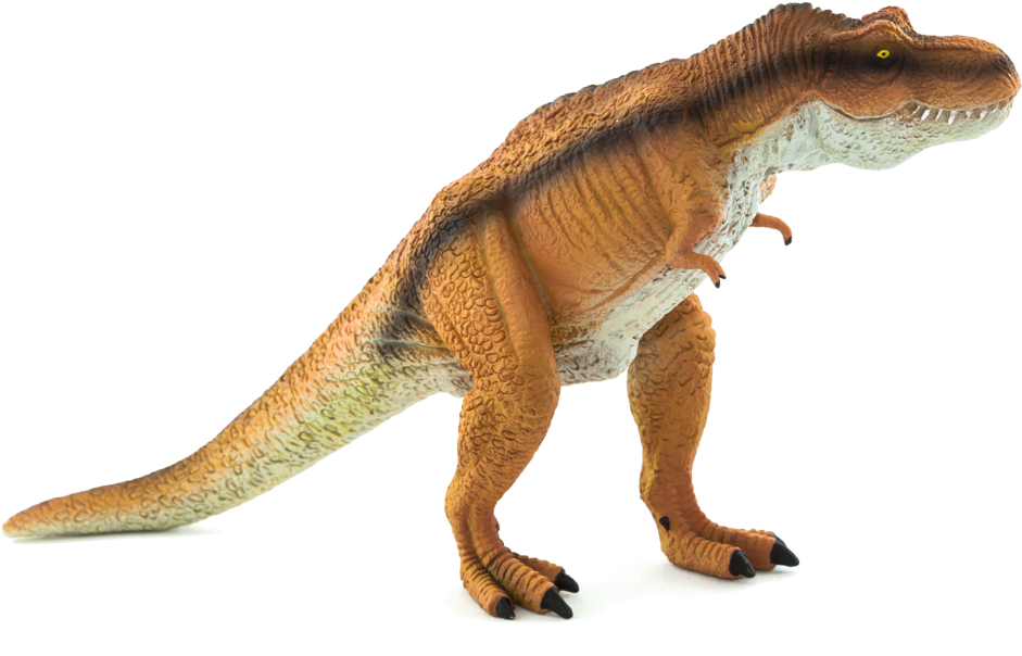 Tyrannosaurus Rex - New 2015 - From Mojö (1000x1000), Png Download