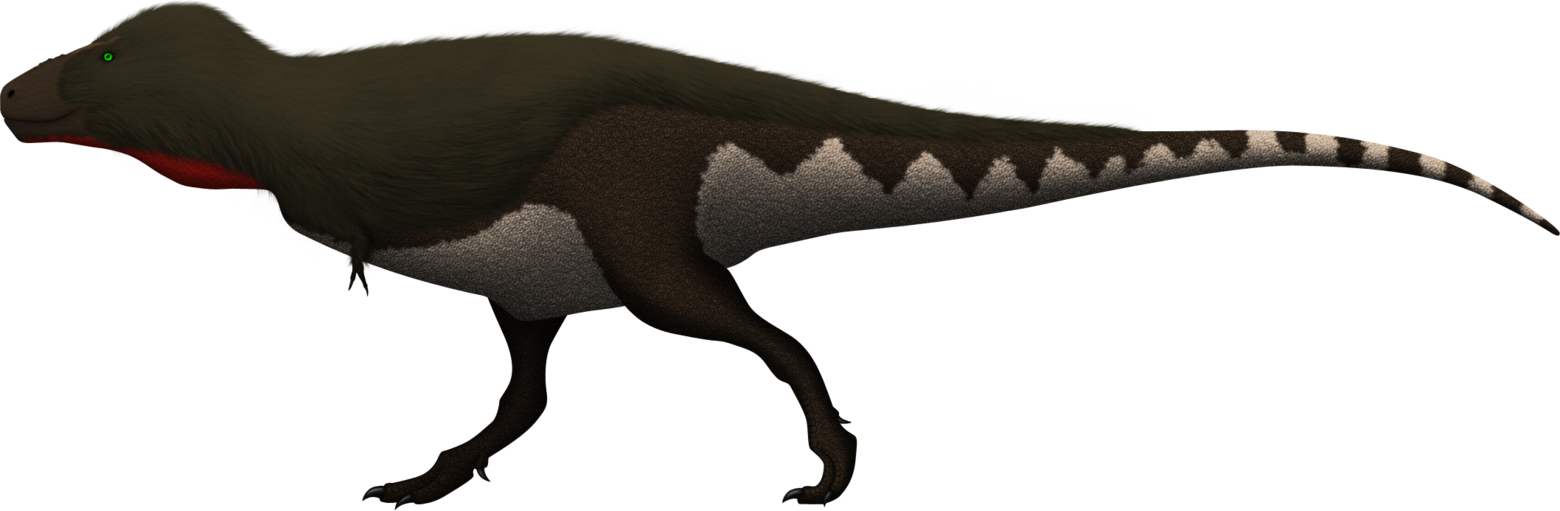 Giants Drawing T Rex - Feathered T Rex Png (1560x511), Png Download