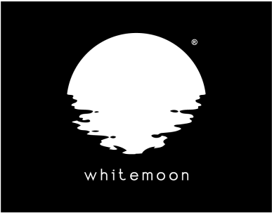 Moon Logo - Google Zoeken - Logo (400x400), Png Download