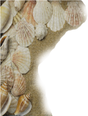 Cadre Frame - Beach (400x400), Png Download