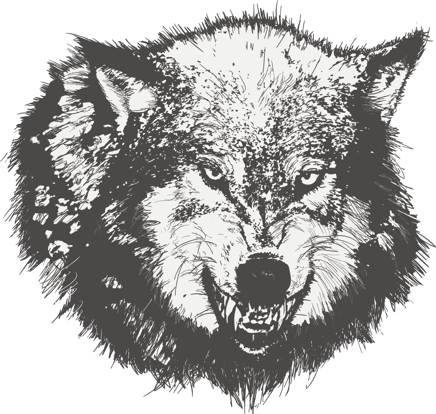 Dog Drawing Black Wolf Sketch Painted Transprent - Wolf Angry Face Vector (1427x1355), Png Download