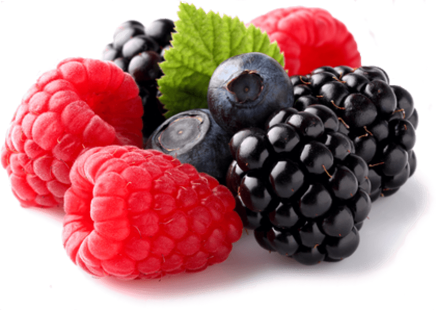Free Png Berries Png Images Transparent - Berries Png (850x604), Png Download