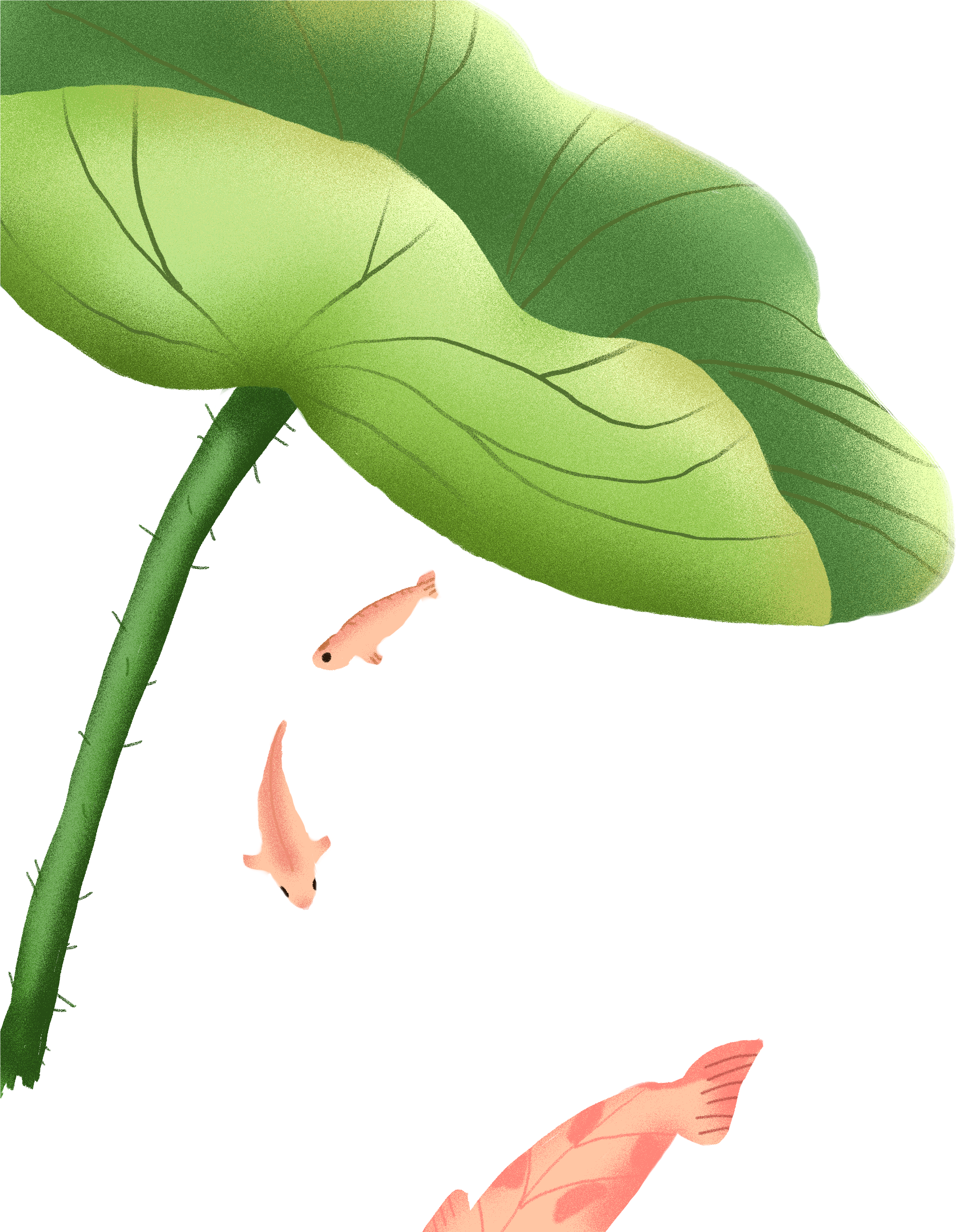 Hand-painted Cartoon Lotus Leaf Decoration Png - Cartoon (3780x3668), Png Download