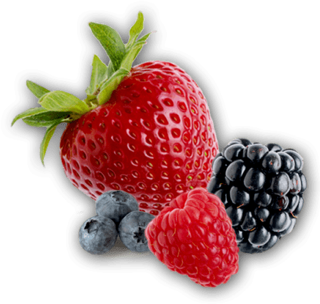Free Png Berries Png Images Transparent - Berries Png Transparent (480x480), Png Download