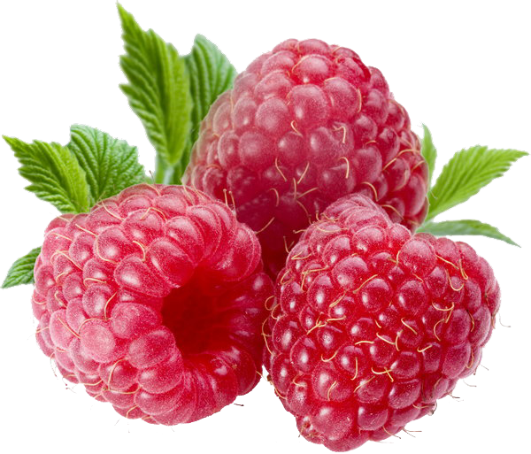 Berries Png File - Raspberry Png (600x513), Png Download