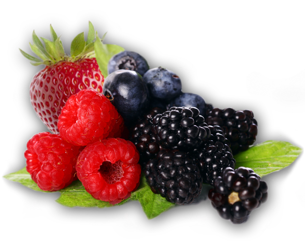 Berries Png Clipart - Berries Clipart Transparent (600x600), Png Download